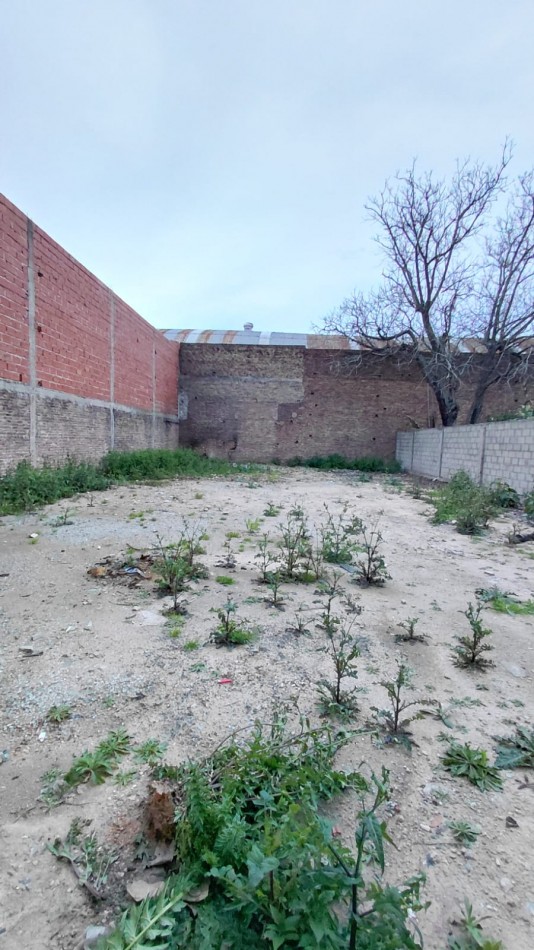 Galpon en alquiler en San Justo - 400 m² cubiertos